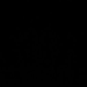 Meet your Posher, Nina